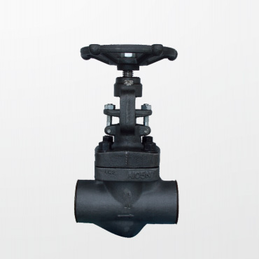 API 602 globe valve